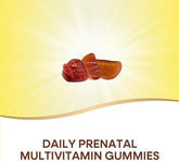 Nature’s Way Alive! Prenatal Premium Gummy Multivitamin, High Potency Folate, Plant-Based DHA, Vegetarian, Strawberry and Lemon Flavored, 75 Gummies (Packaging May Vary)
